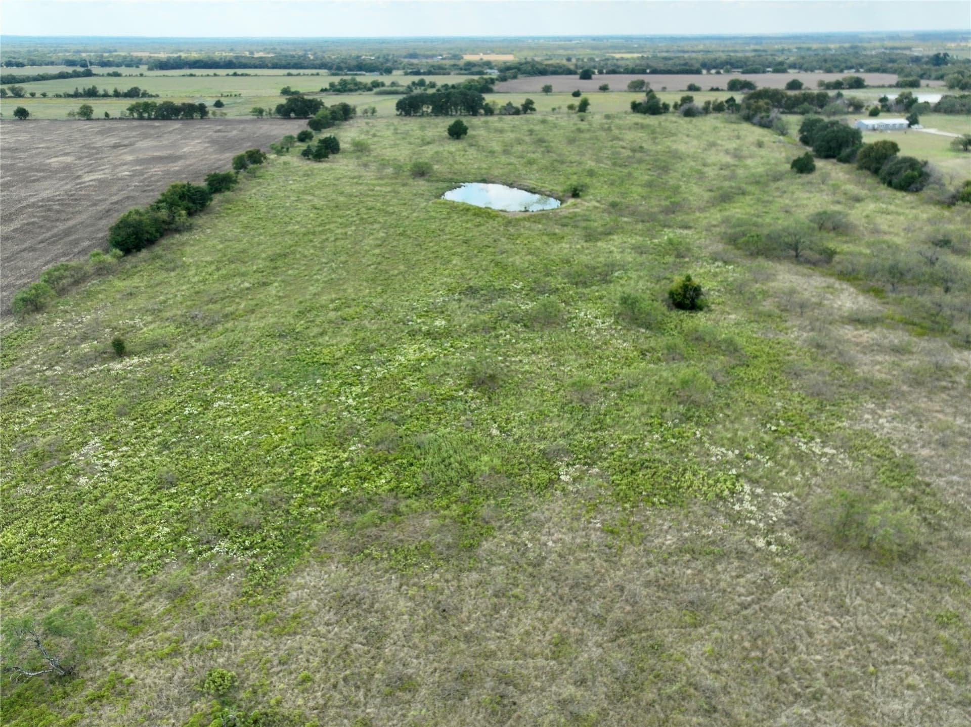 204.76 acres in Navarro County - photo 18