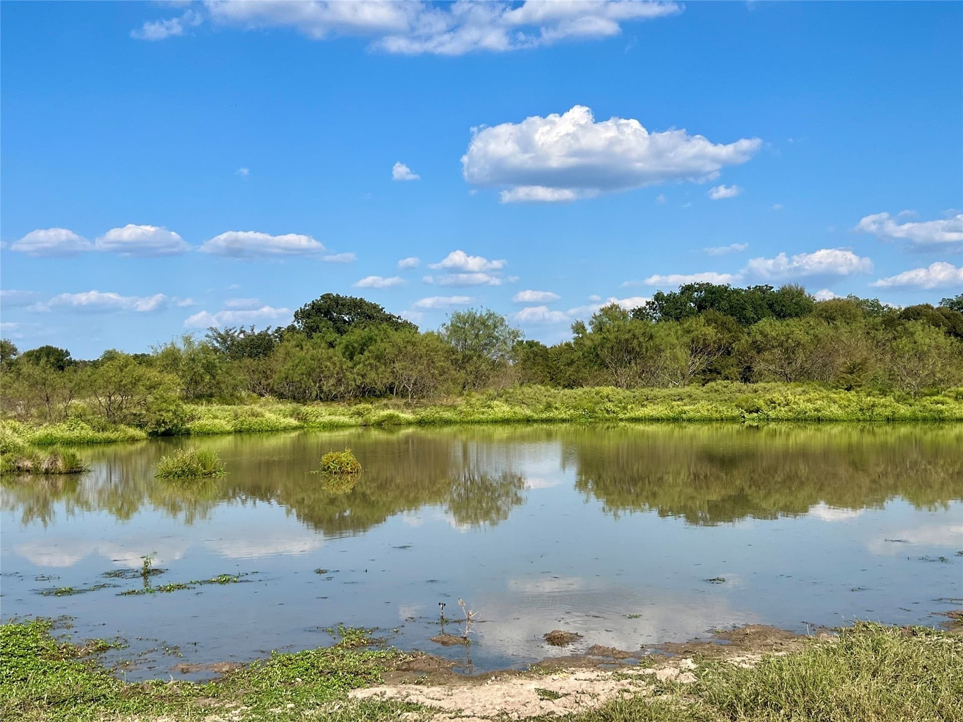 204.76 acres in Navarro County - photo 27