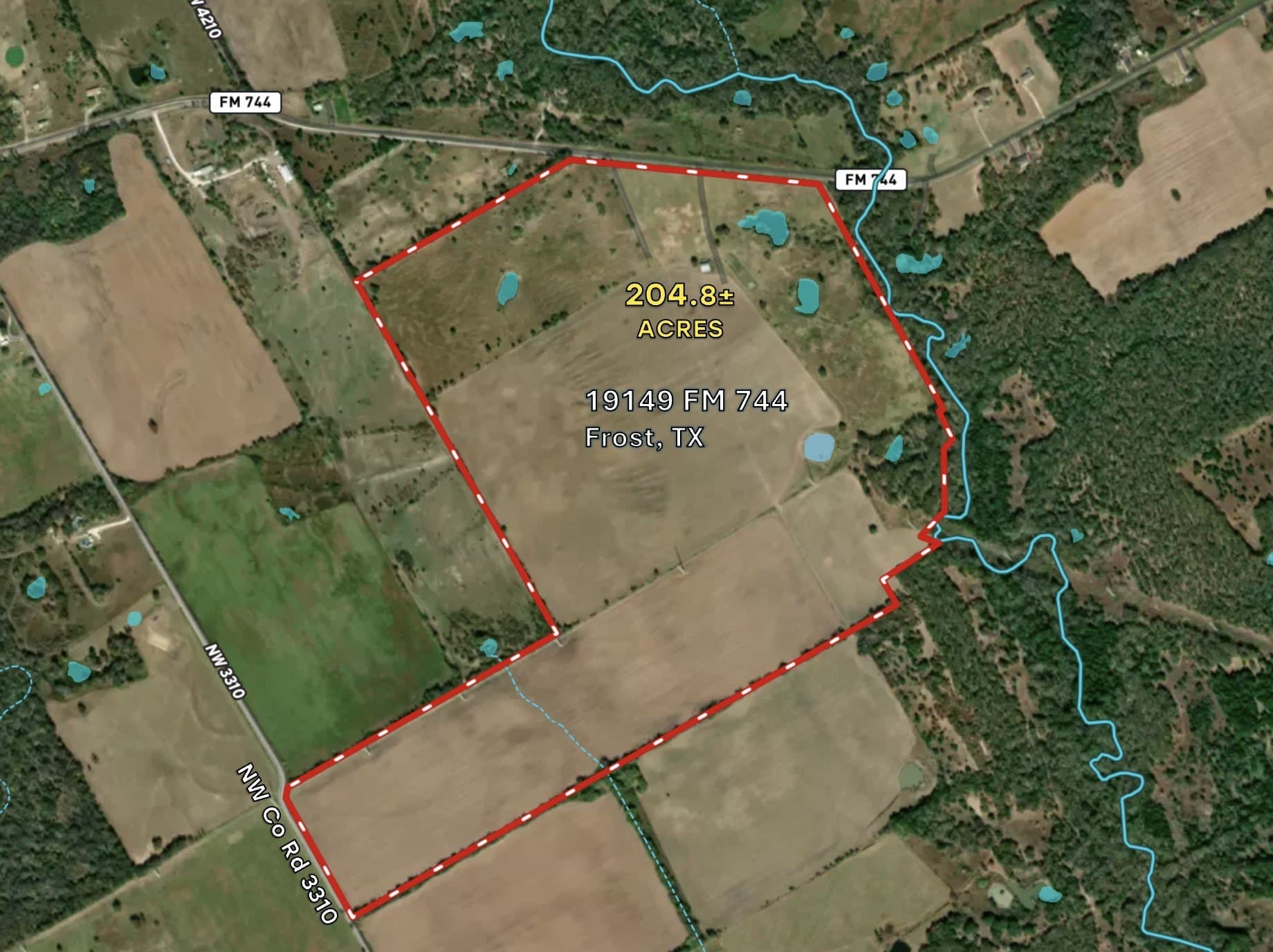 204.8 acres in Navarro County gallery image 2