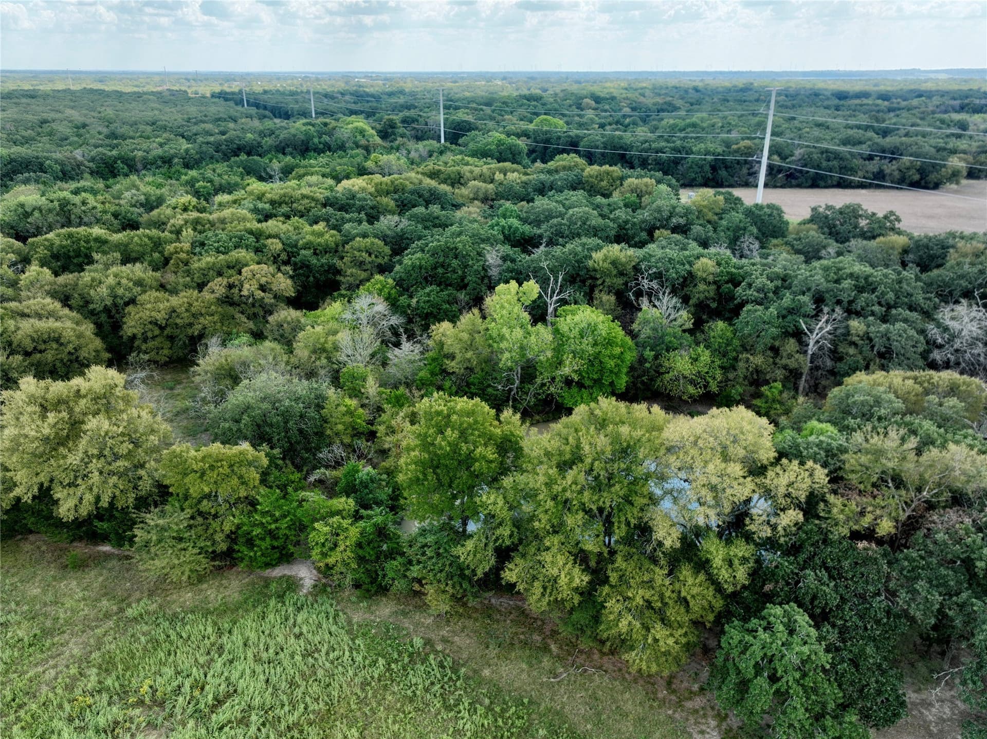 204.76 acres in Navarro County - photo 33