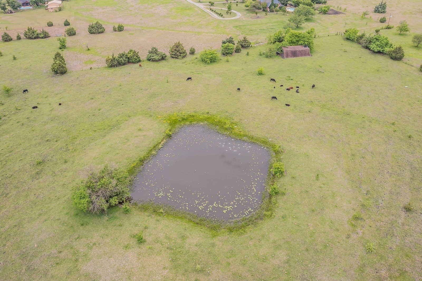 31.49 acres in Rockwall County - photo 7