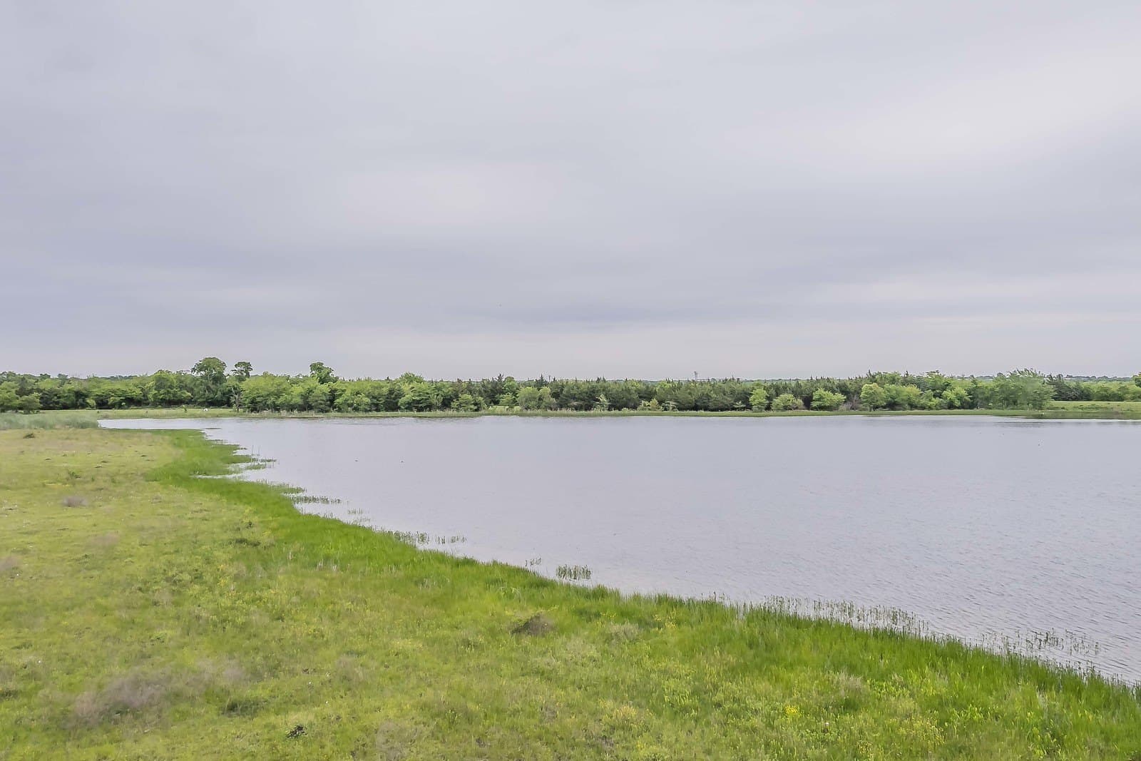 31.49 acres in Rockwall County - photo 8