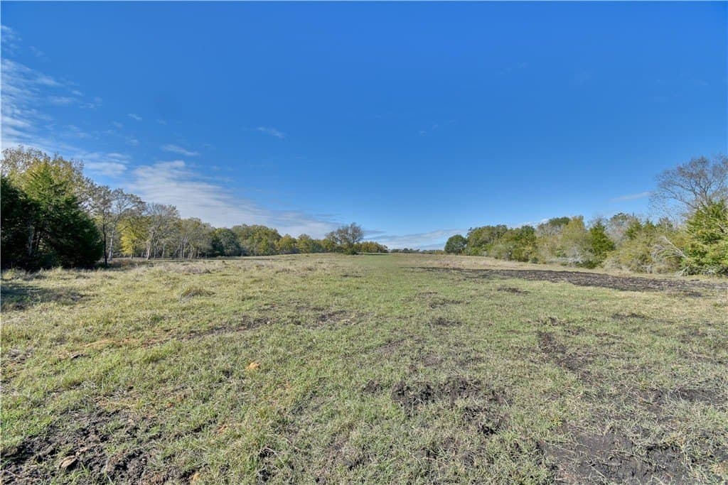 226.87 acres in AUSTIN County - photo 5