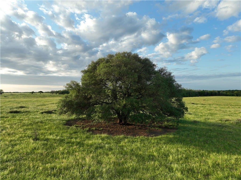 226.87 acres in AUSTIN County - photo 4