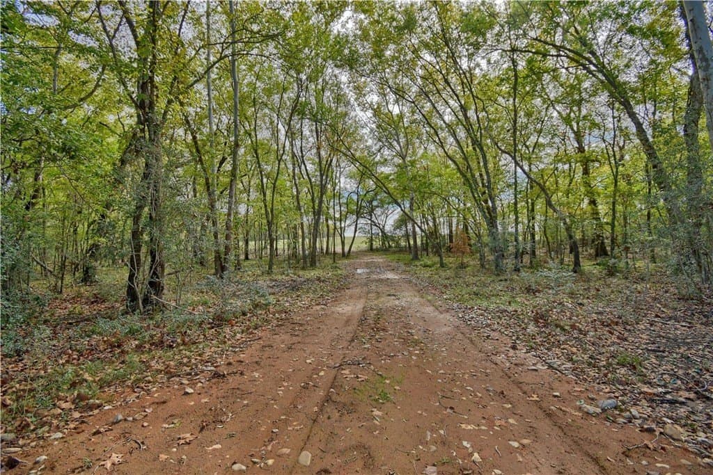 226.87 acres in AUSTIN County - photo 8