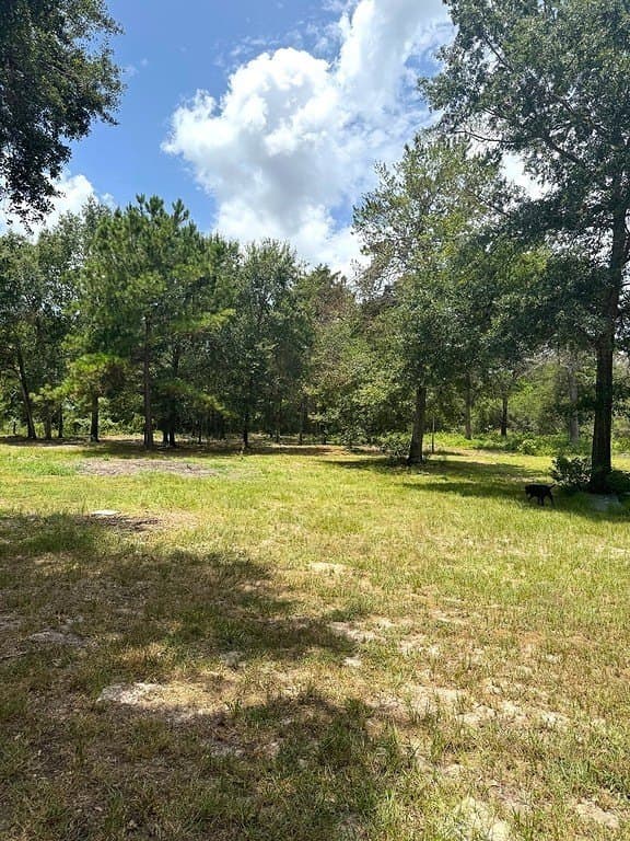 5 acres in Austin County - photo 6