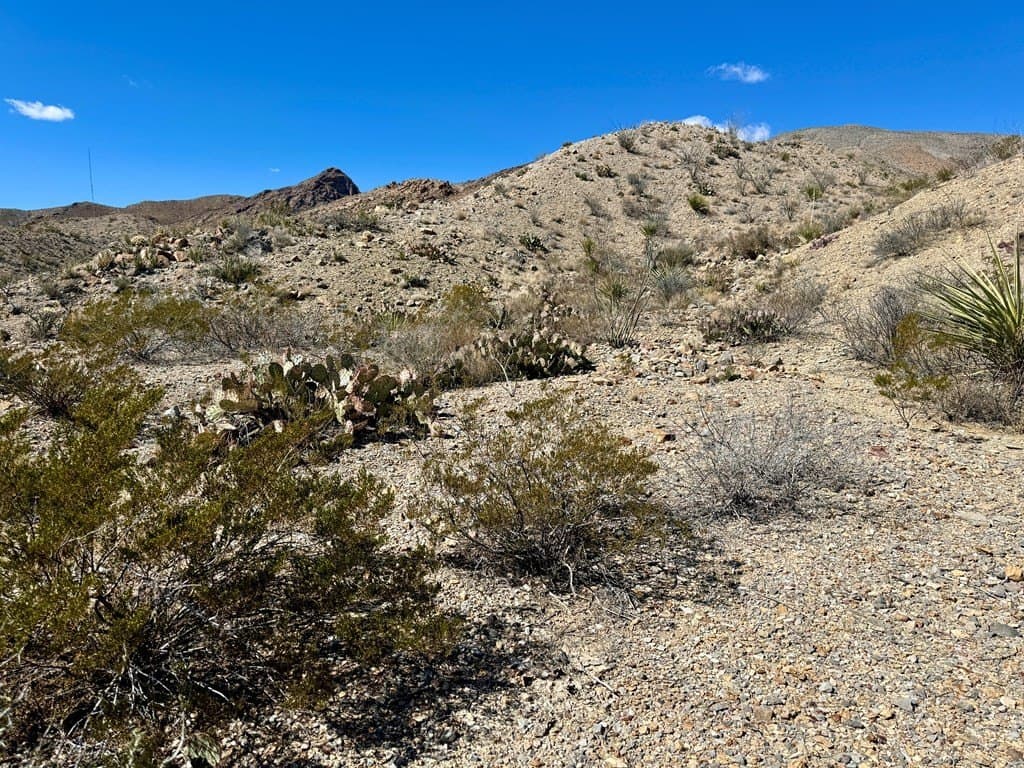 40 acres in Brewster County - photo 14