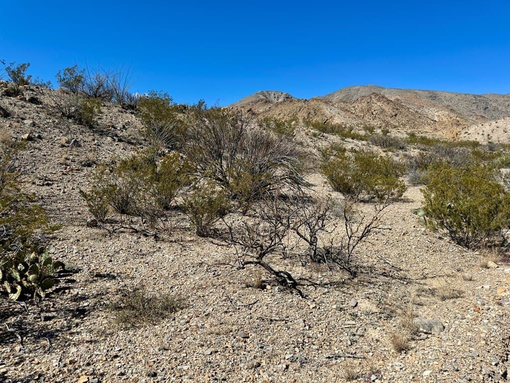 40 acres in Brewster County gallery image 2