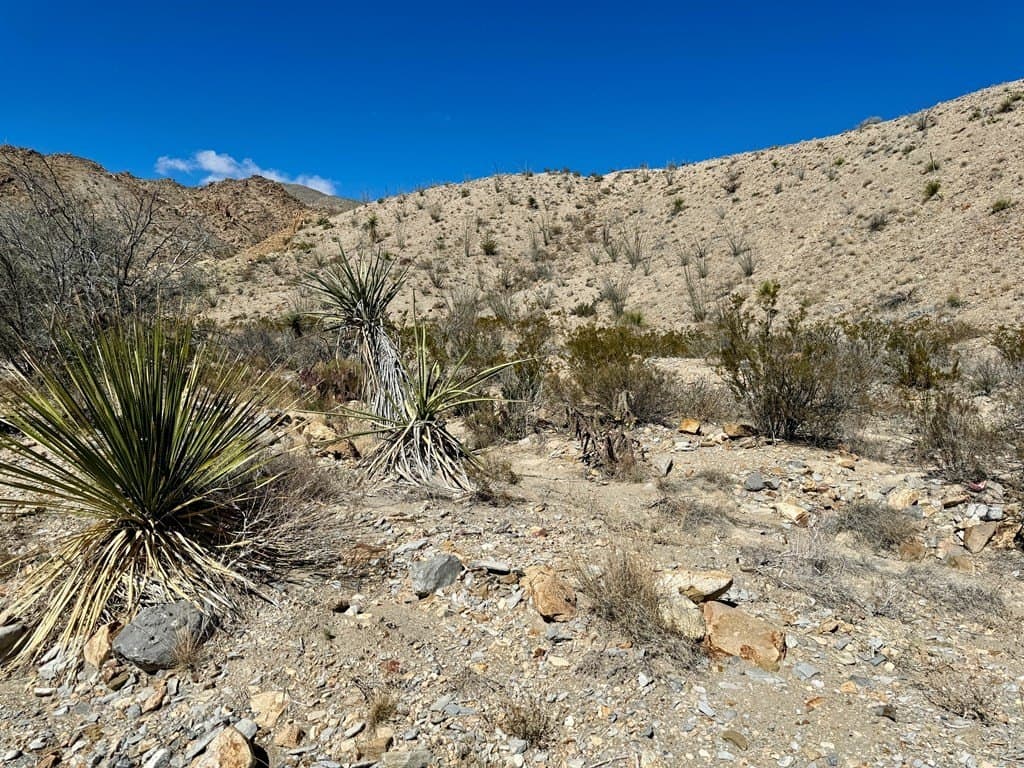 40 acres in Brewster County - photo 7