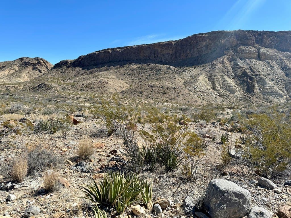 40 acres in Brewster County gallery image 3