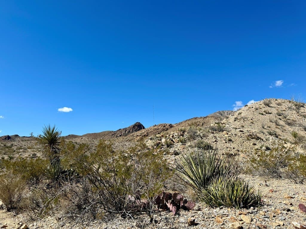 40 acres in Brewster County - photo 9
