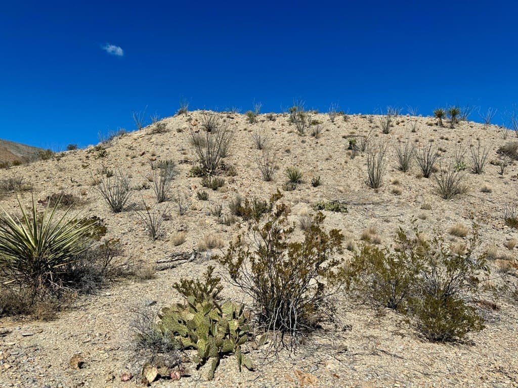40 acres in Brewster County - photo 13