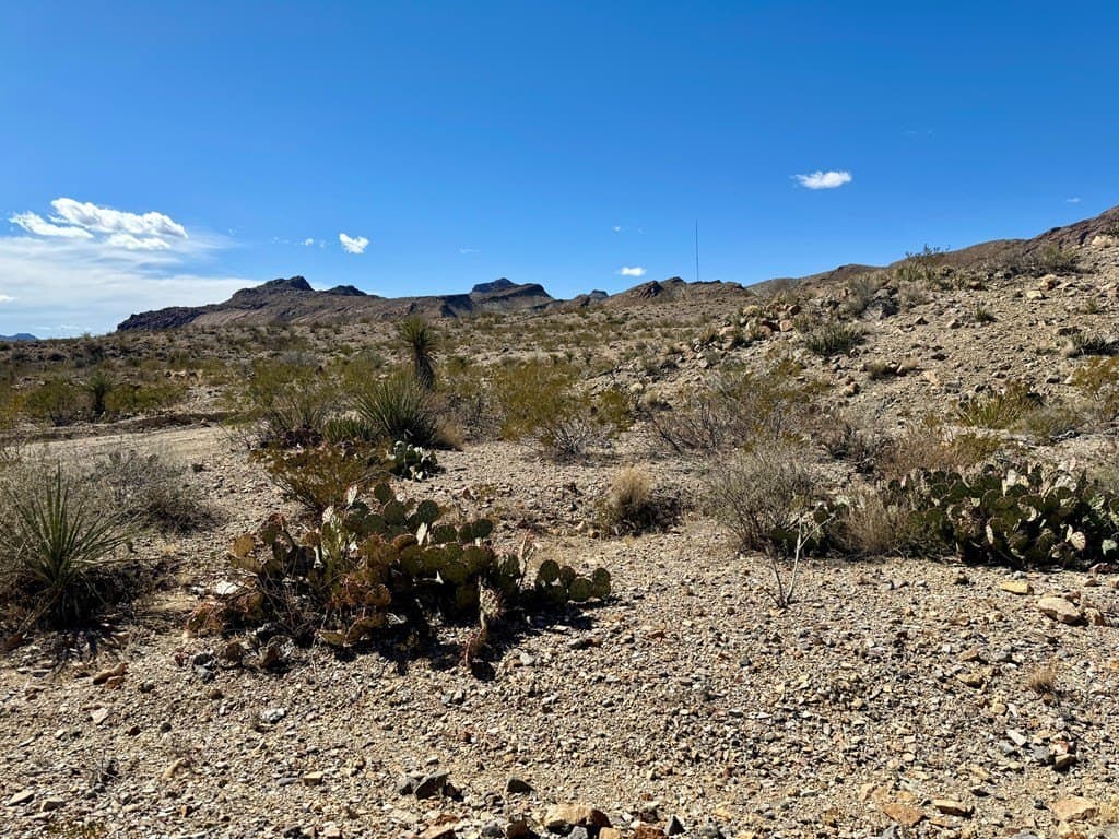 40 acres in Brewster County - photo 12