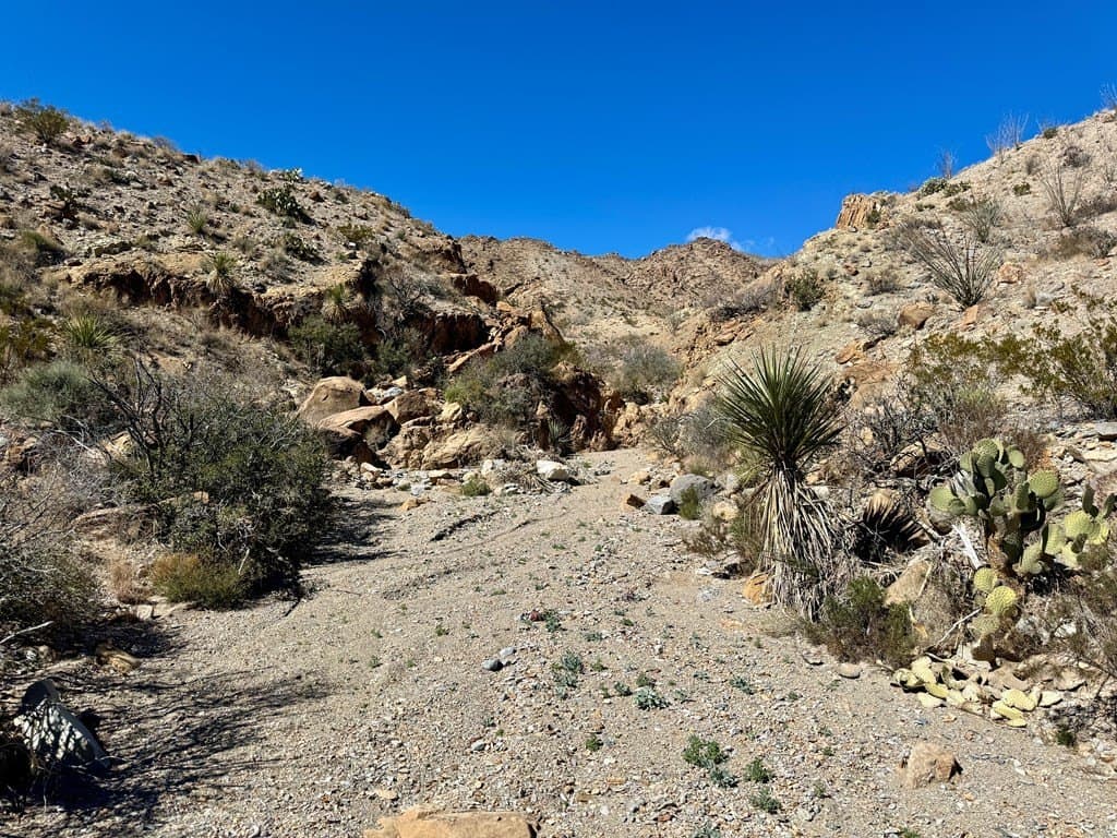 40 acres in Brewster County - photo 6