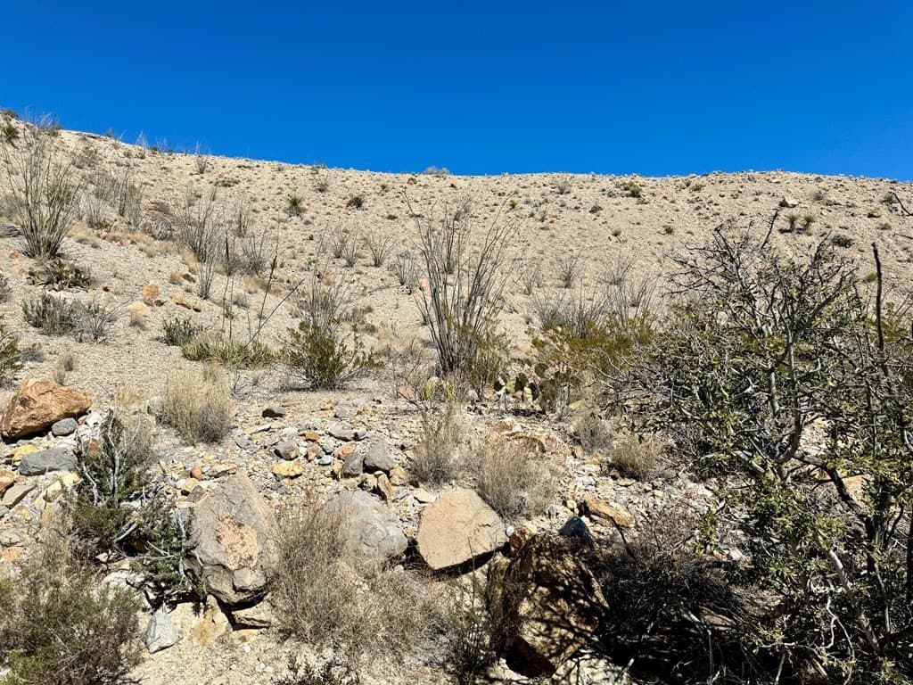 40 acres in Brewster County featured view