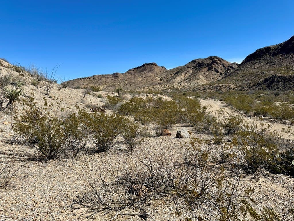 40 acres in Brewster County - photo 10