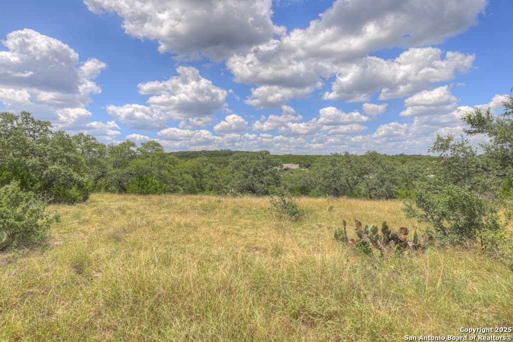 4.2 acres in Comal County - photo 9