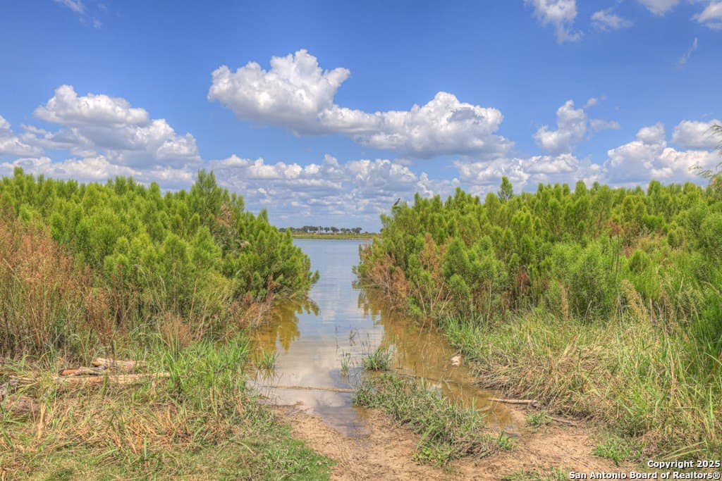 4.2 acres in Comal County - photo 33