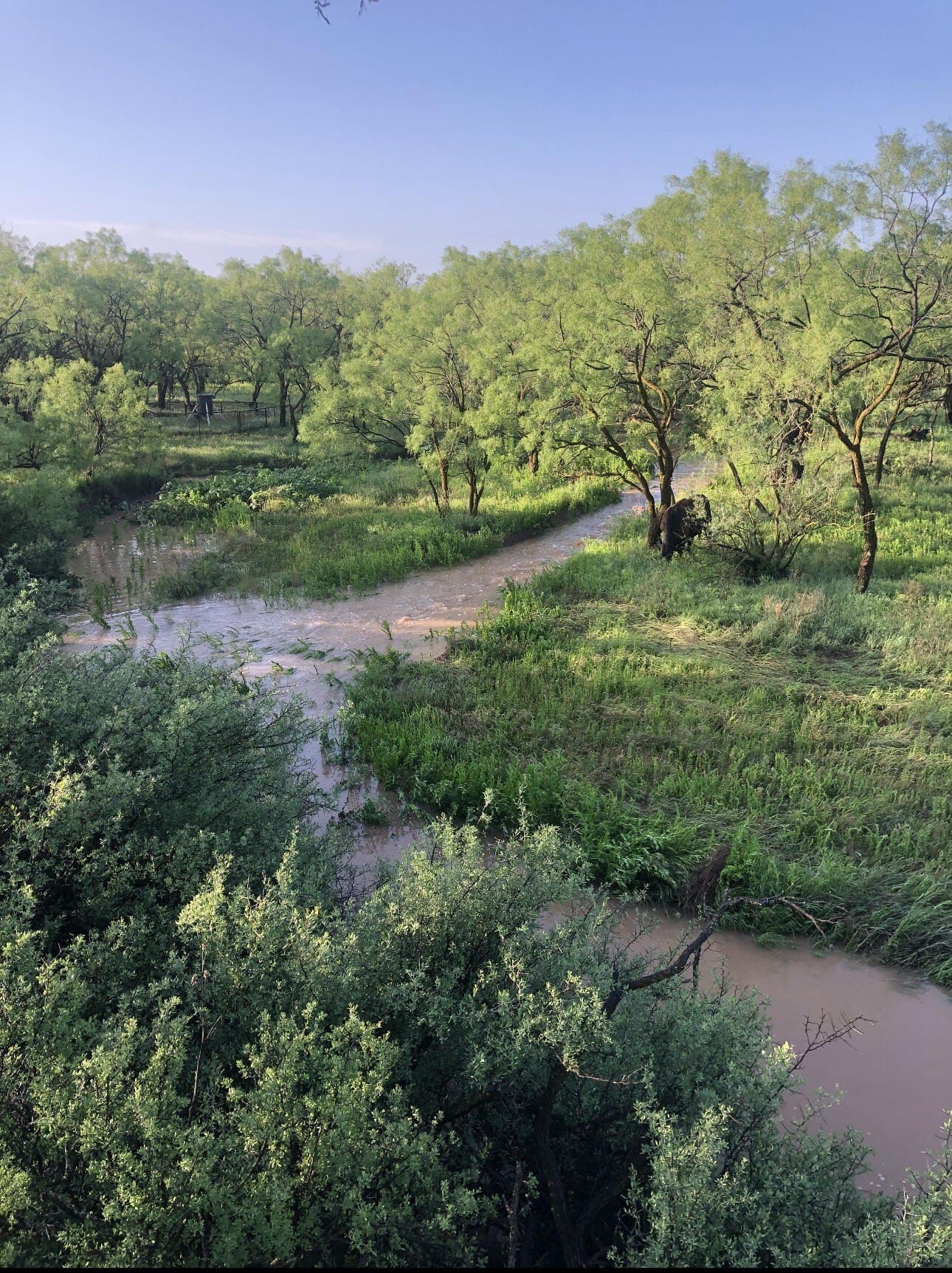 52.24 acres in Runnels County - photo 45