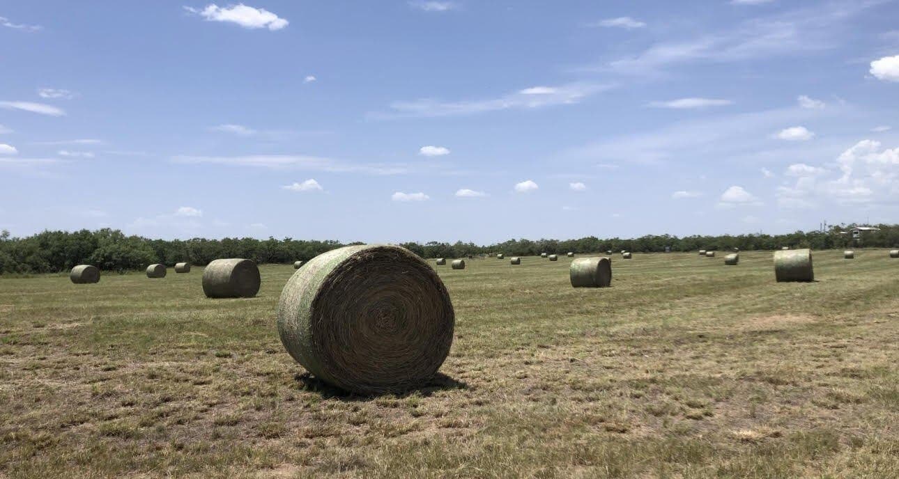 52.24 acres in Runnels County - photo 37