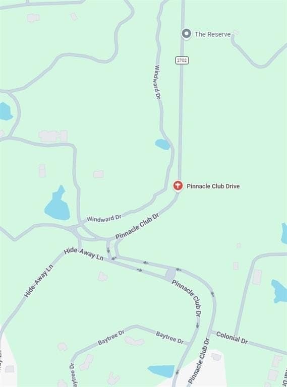 0.55 acres in Henderson County gallery image 4