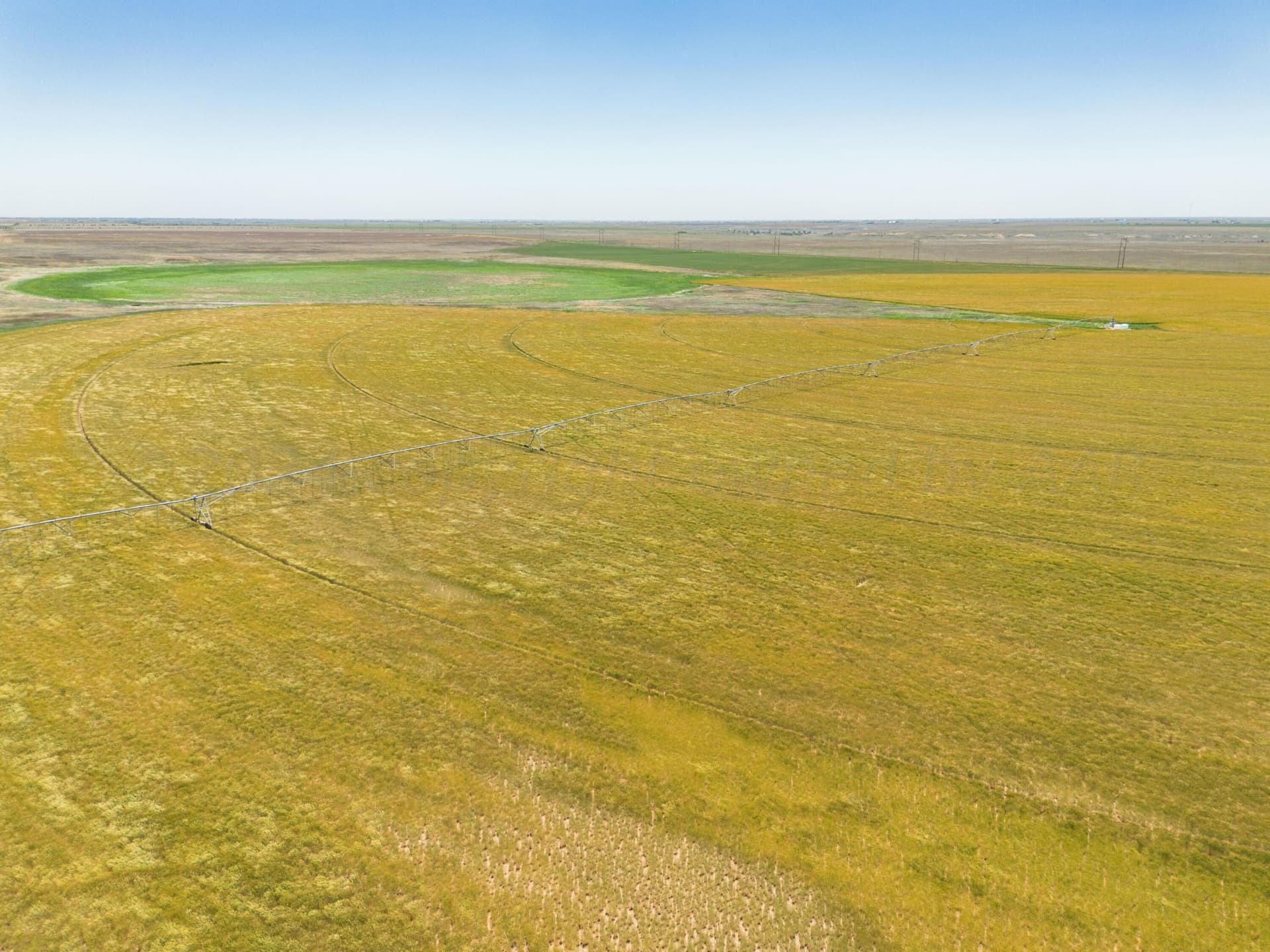 3,812 acres in Randall County - photo 123