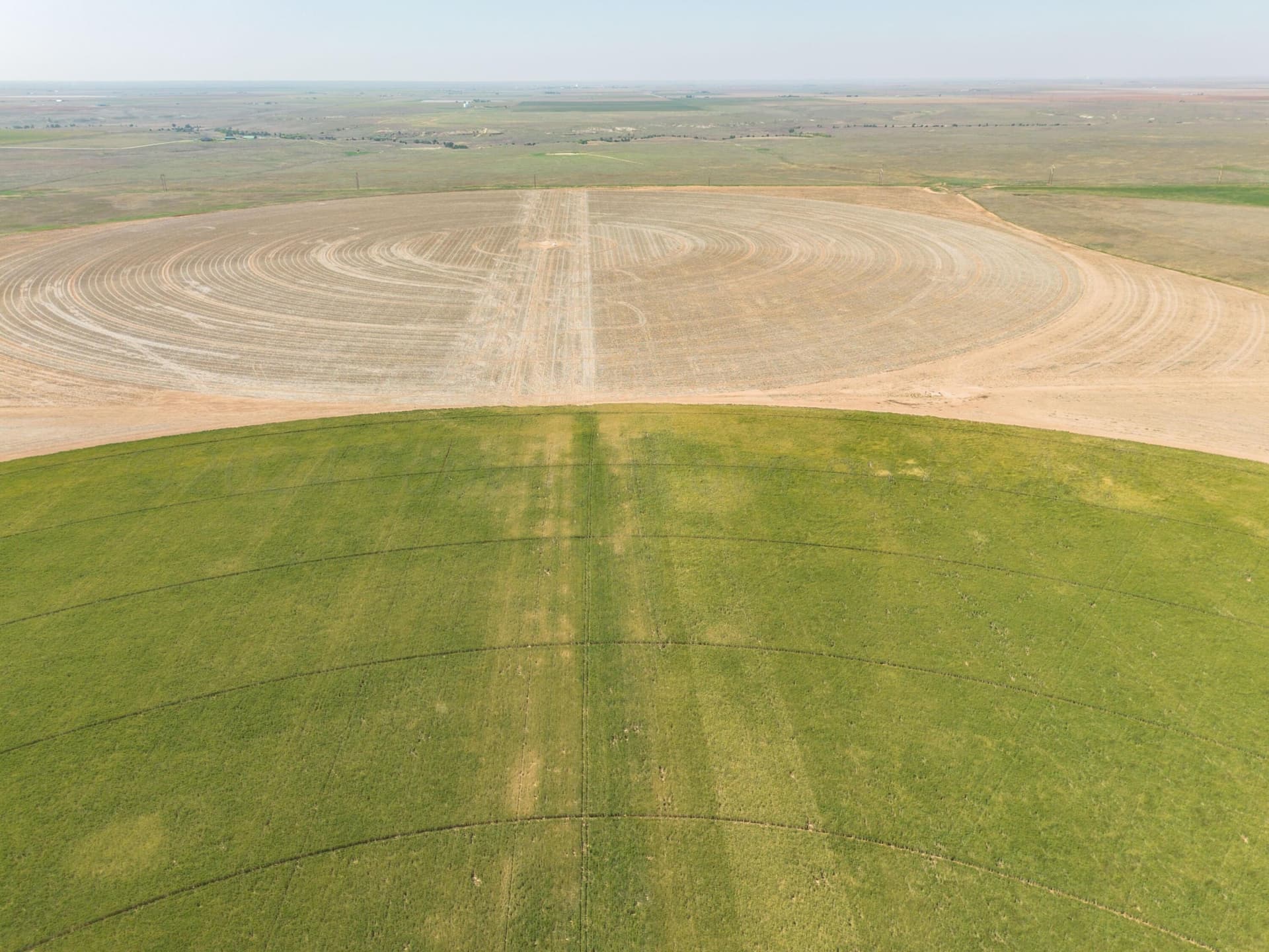 3,812 acres in Randall County - photo 86