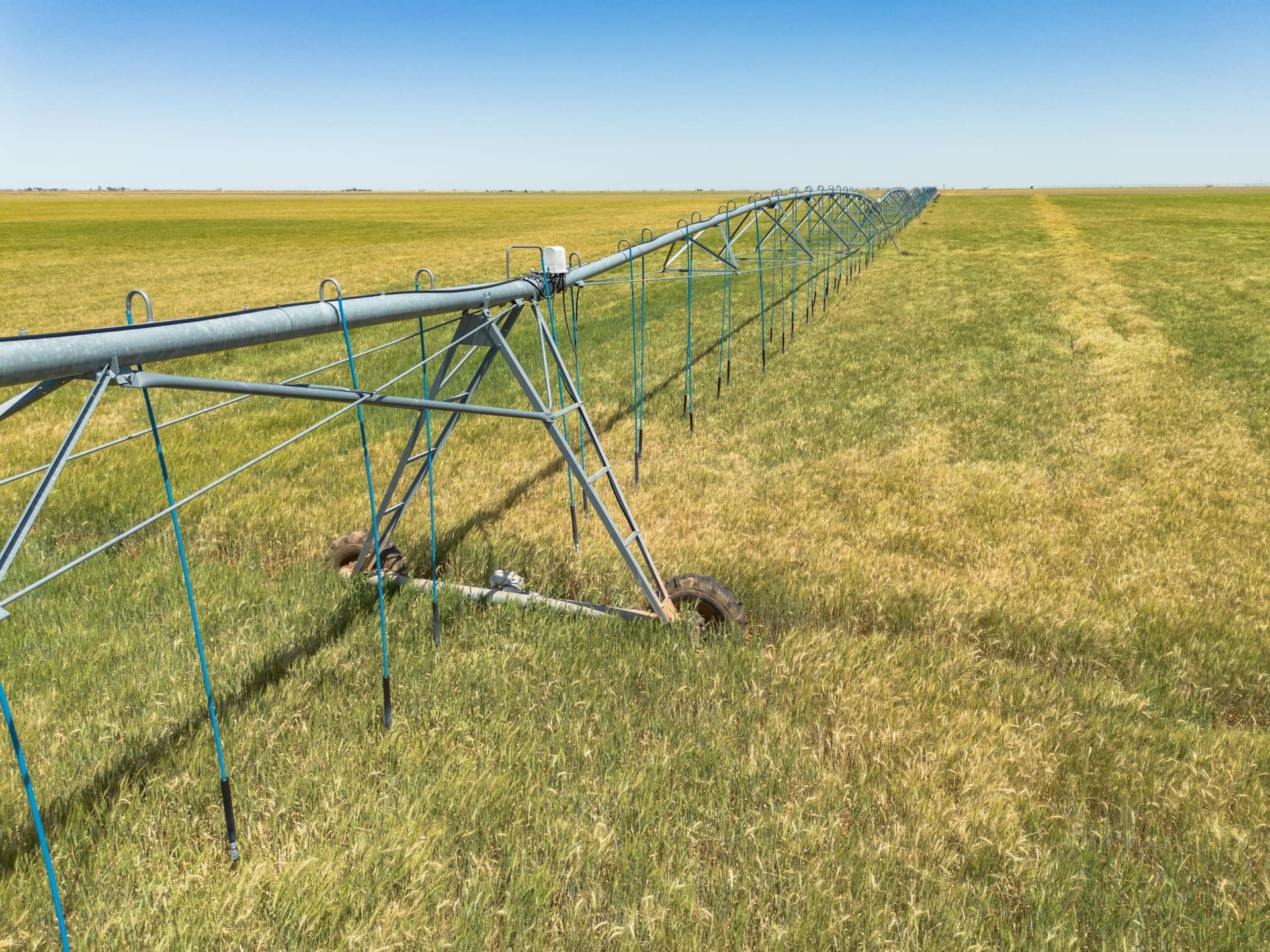 3,812 acres in Randall County - photo 115