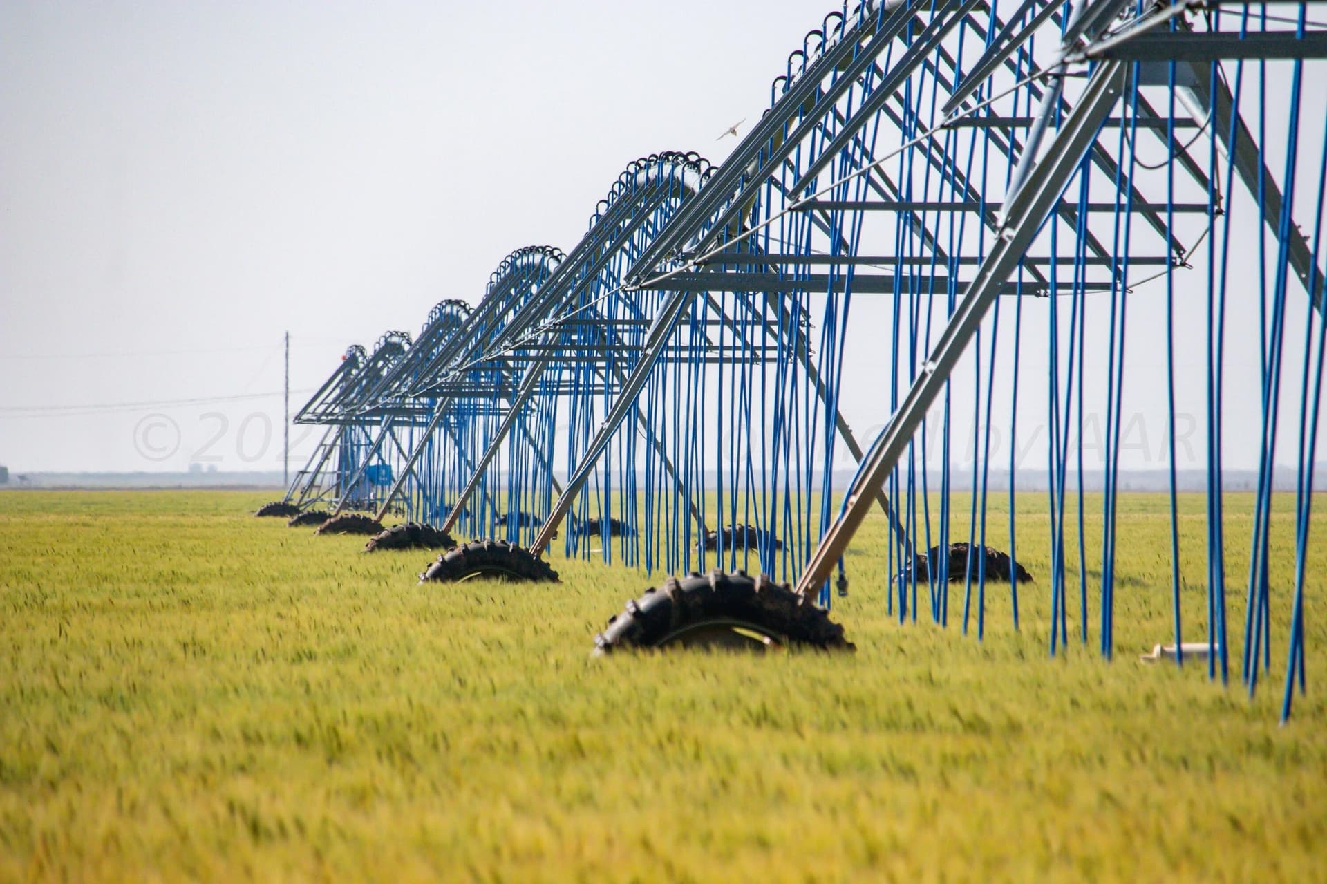 3,812 acres in Randall County - photo 53