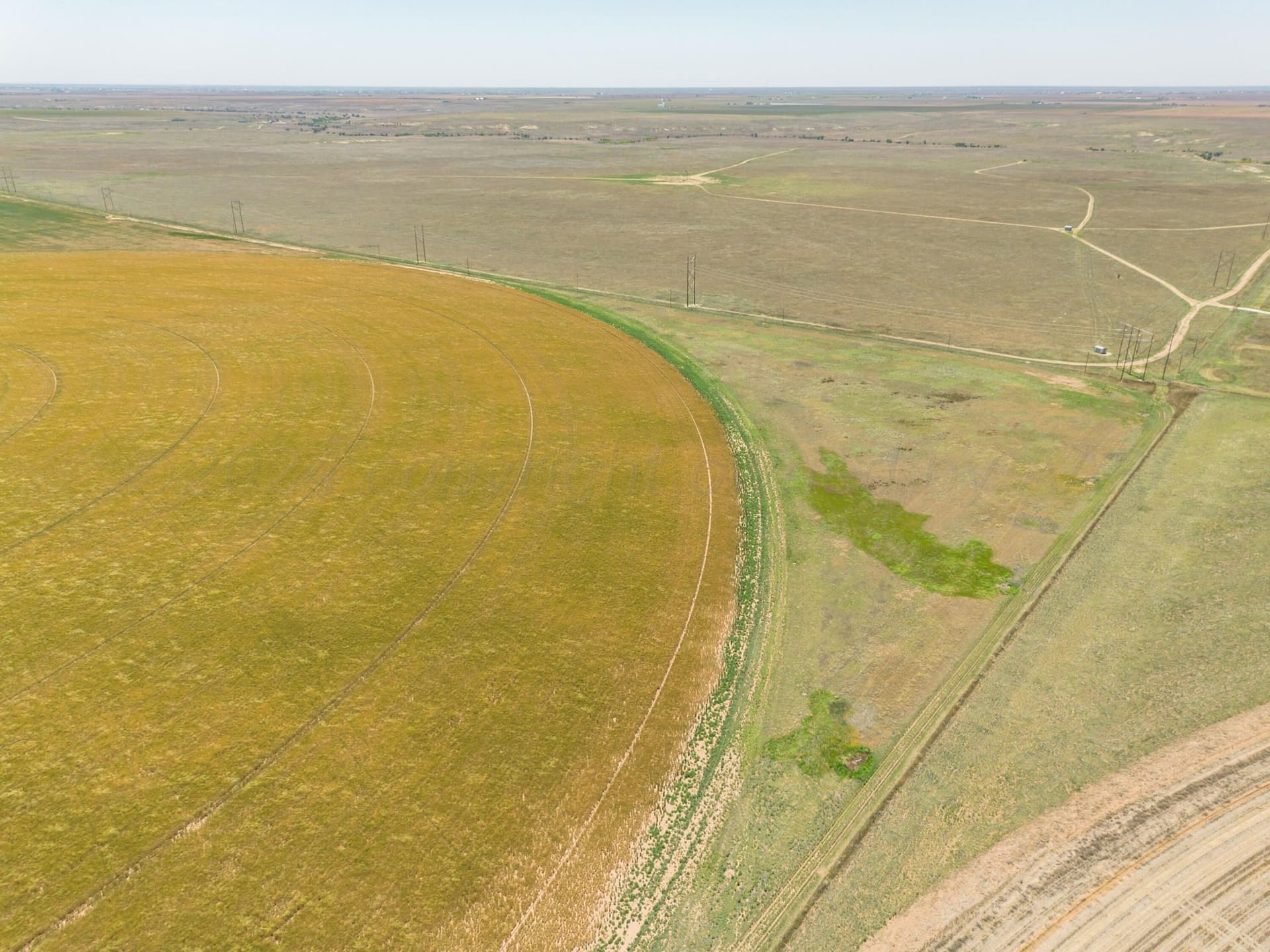 3,812 acres in Randall County - photo 124