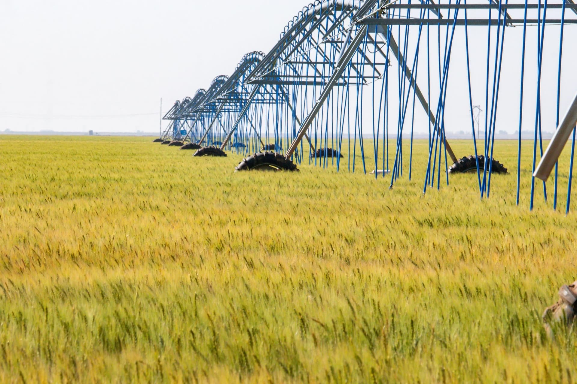 3,812 acres in Randall County - photo 56