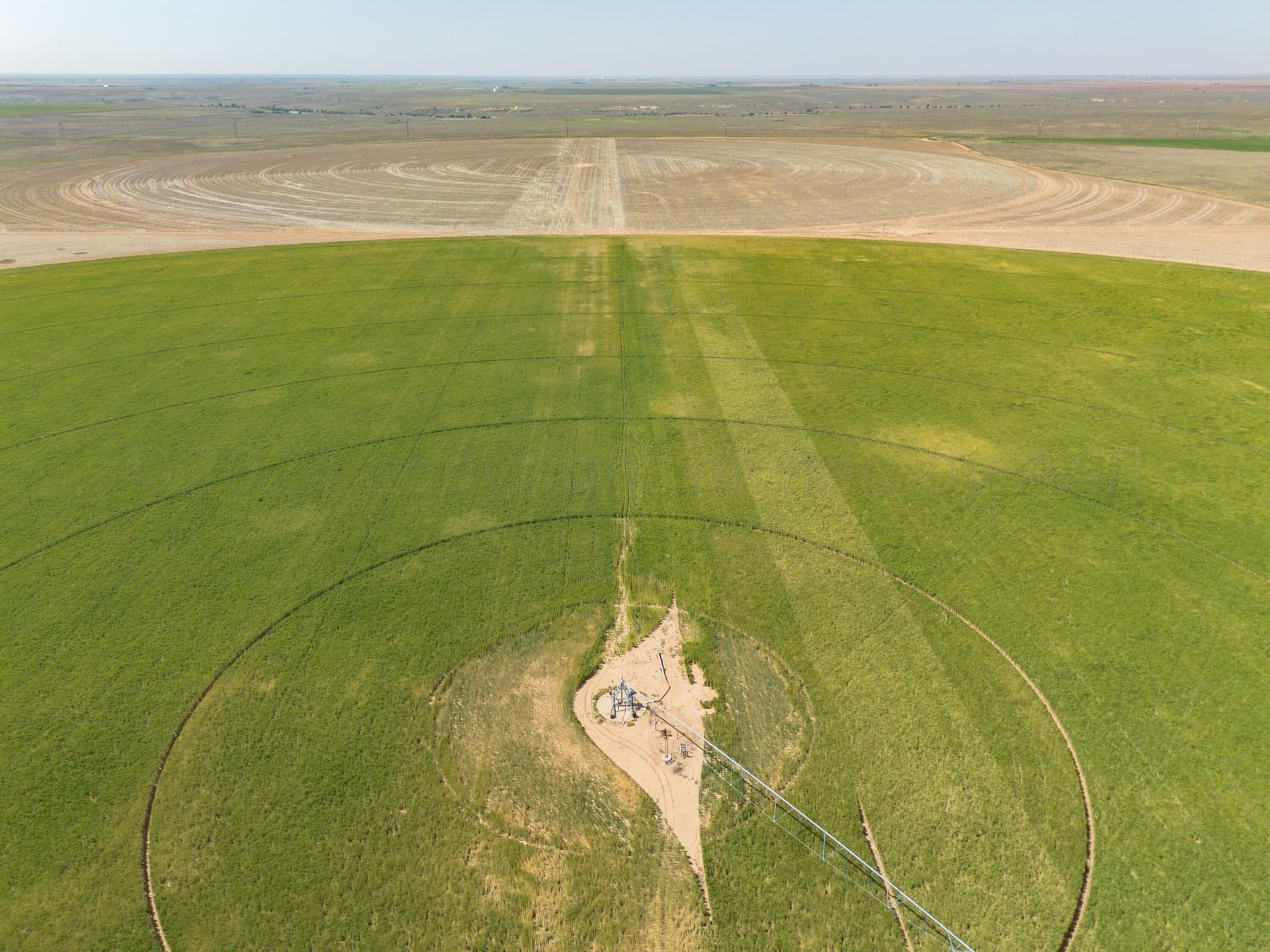 3,812 acres in Randall County - photo 85