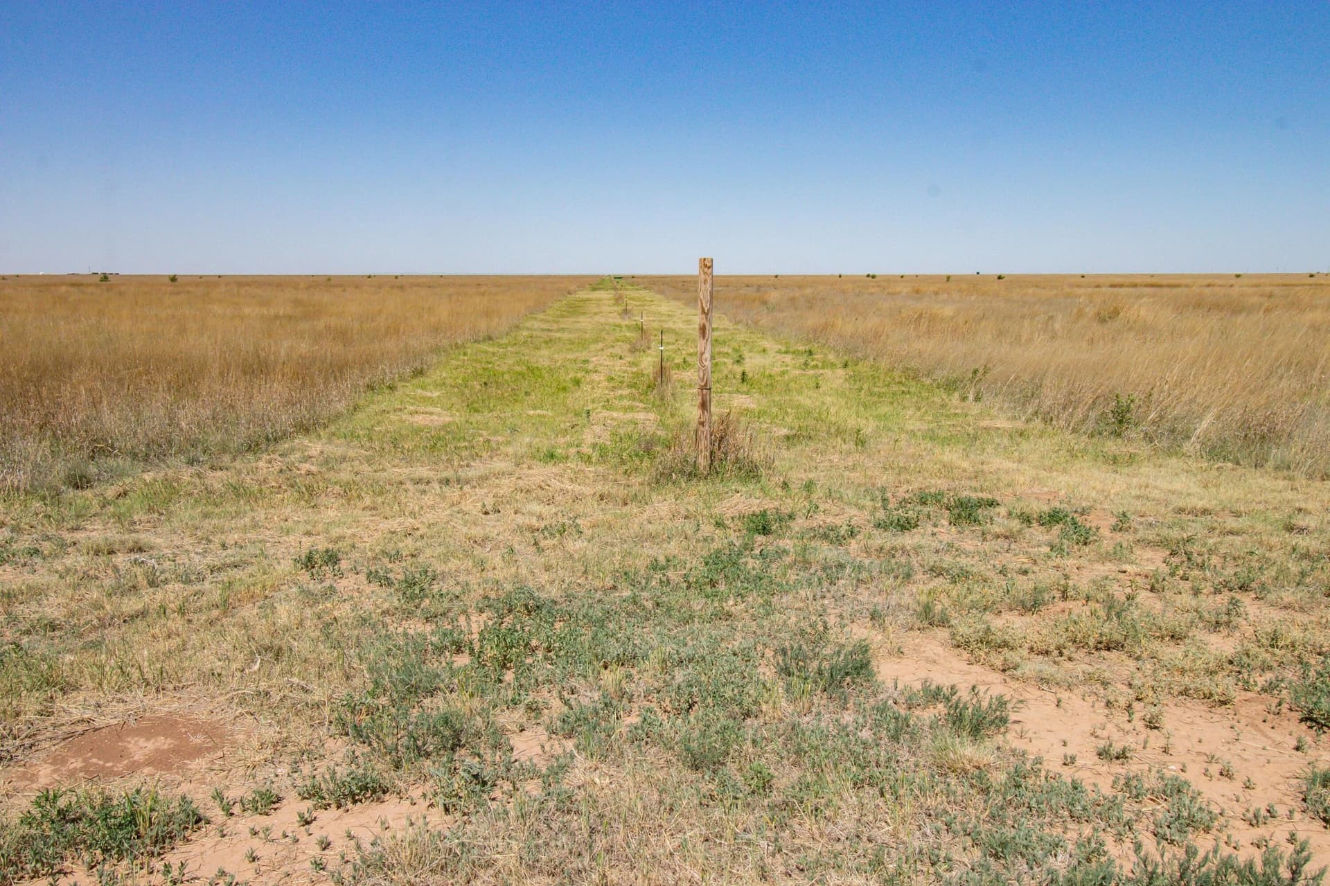 3,812 acres in Randall County - photo 62