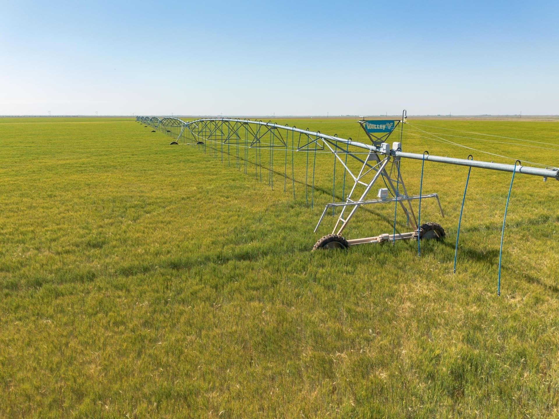 3,812 acres in Randall County - photo 81
