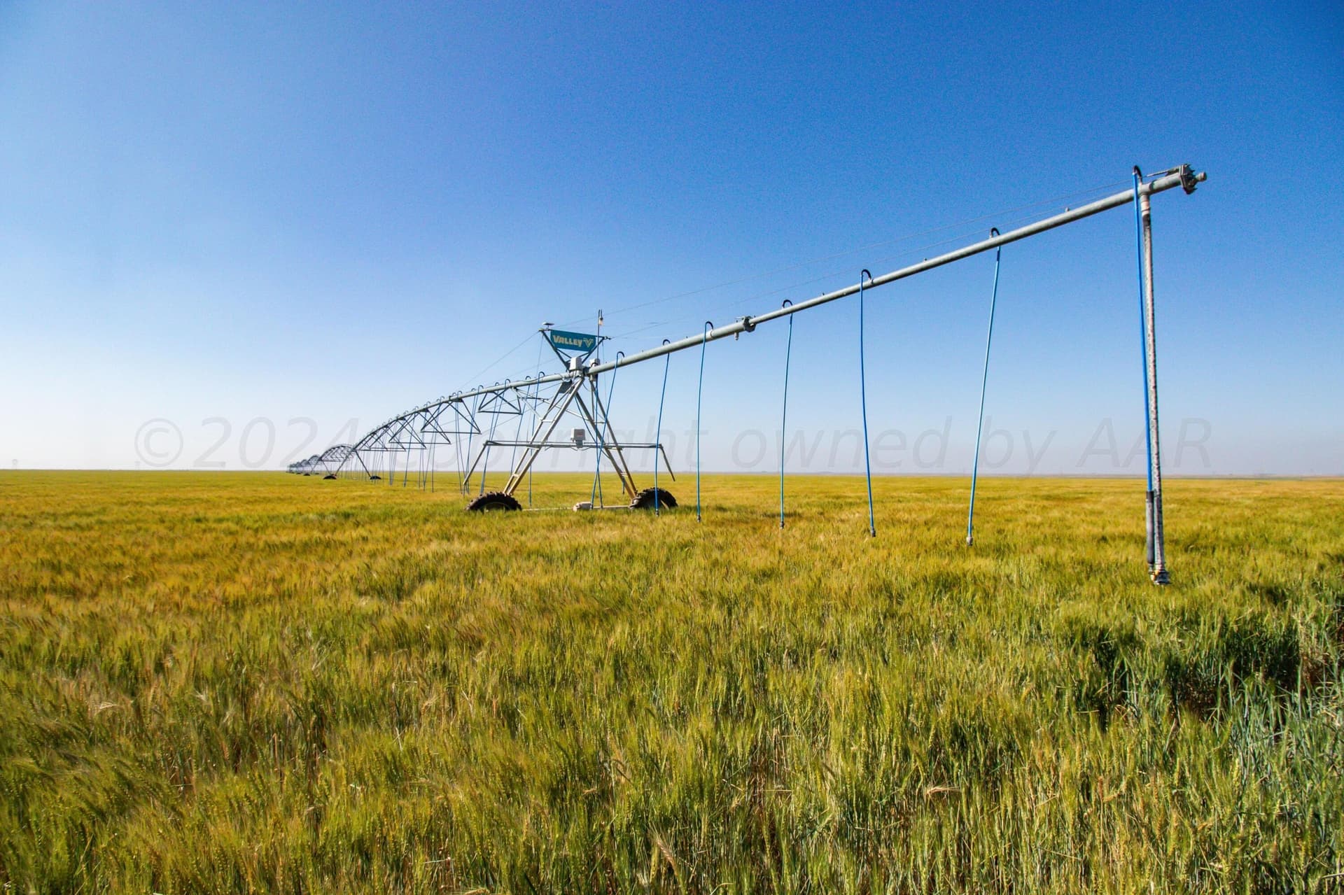 3,812 acres in Randall County - photo 50
