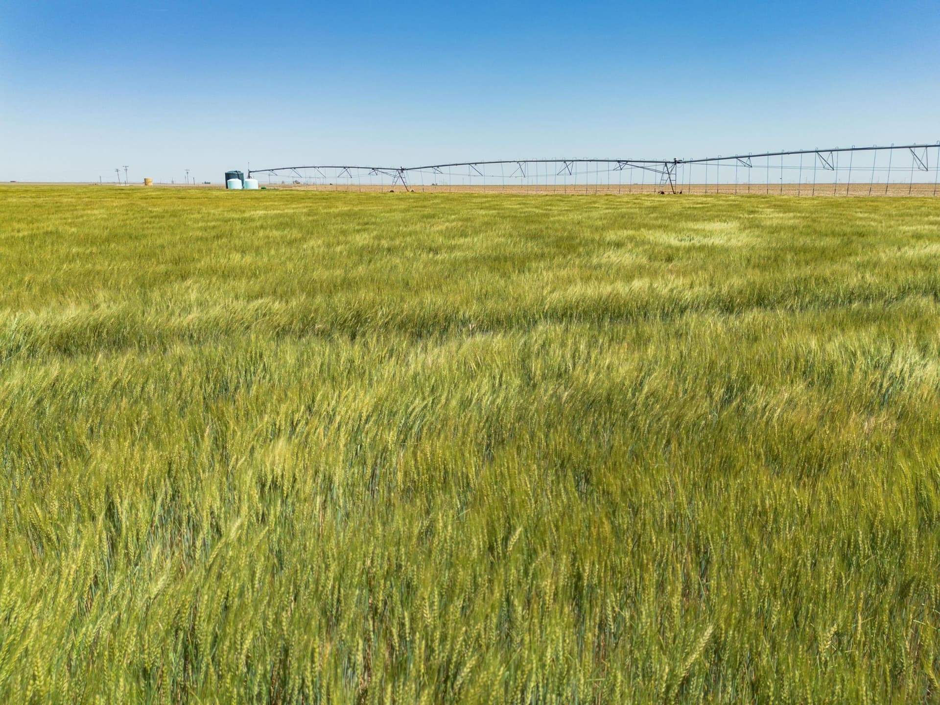 3,812 acres in Randall County - photo 113