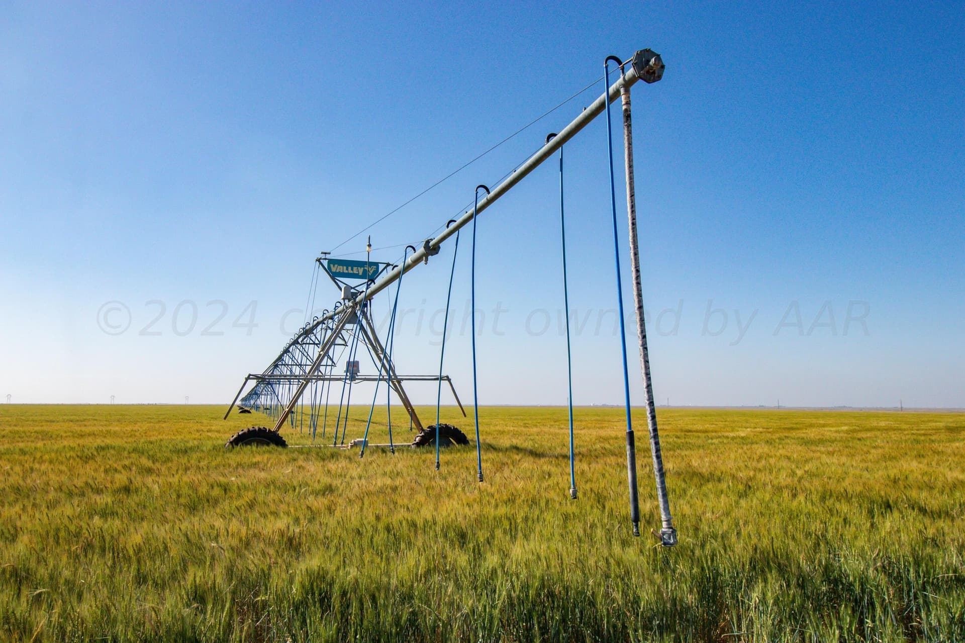 3,812 acres in Randall County - photo 49