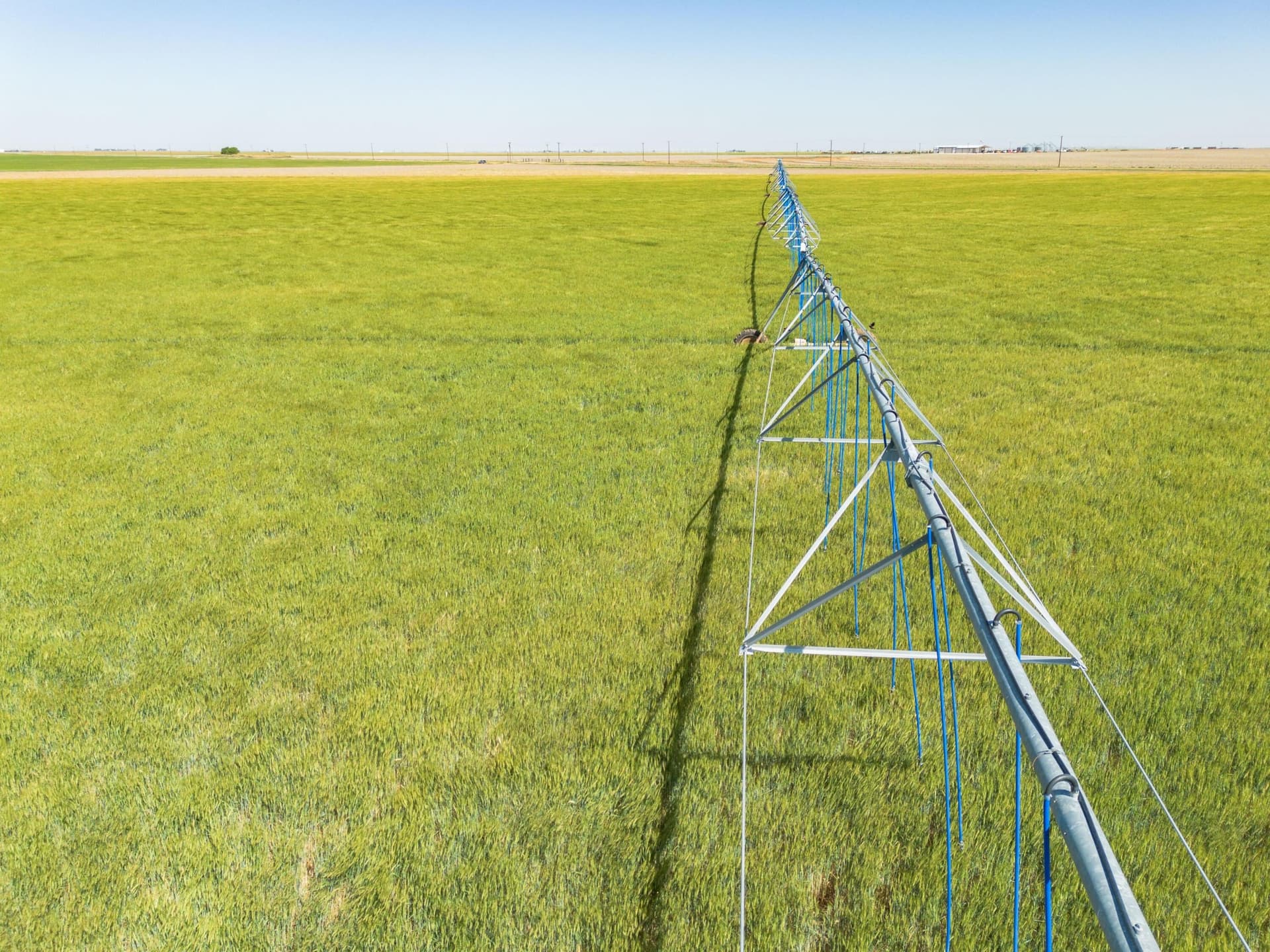 3,812 acres in Randall County - photo 83