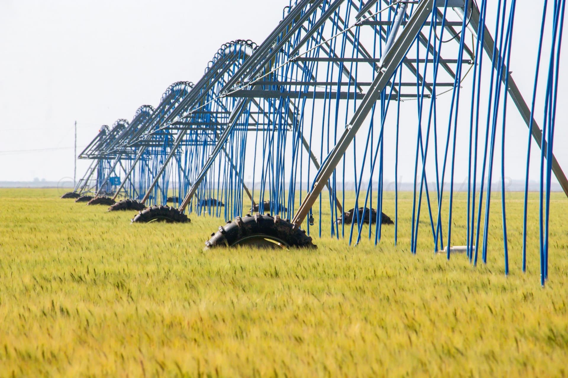3,812 acres in Randall County - photo 55