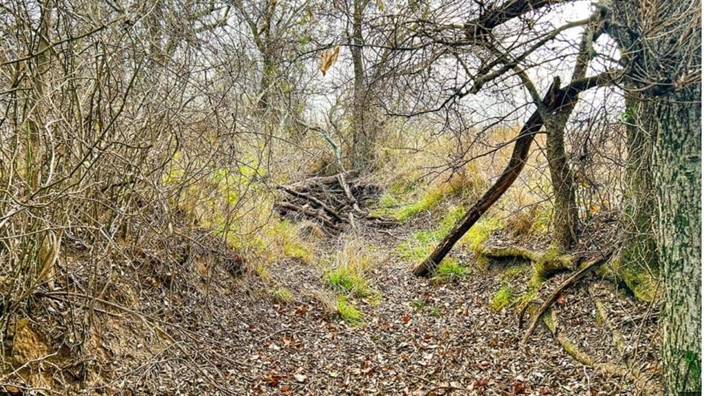 14.03 acres in Comanche County gallery image 3