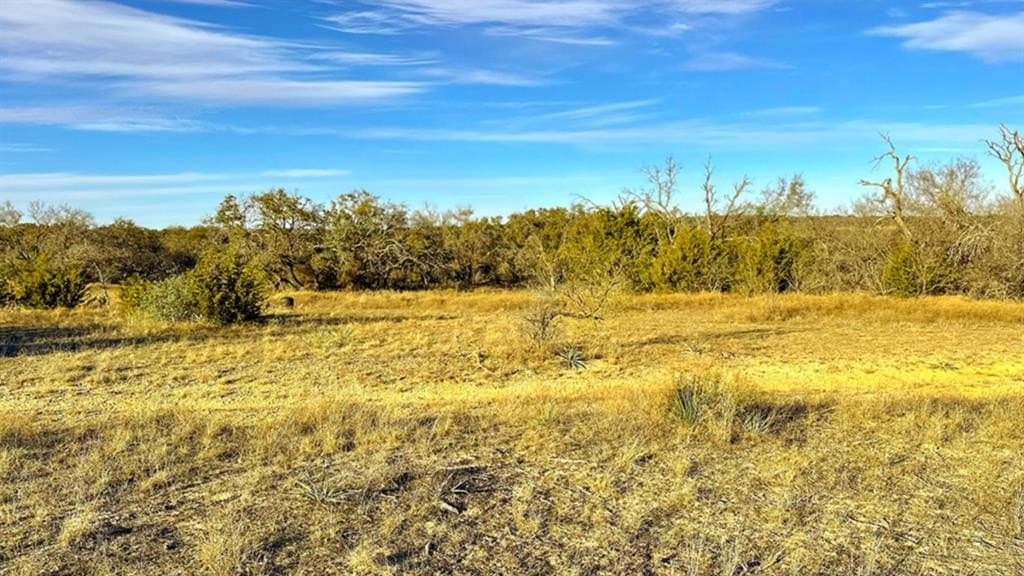 14.03 acres in Comanche County gallery image 2