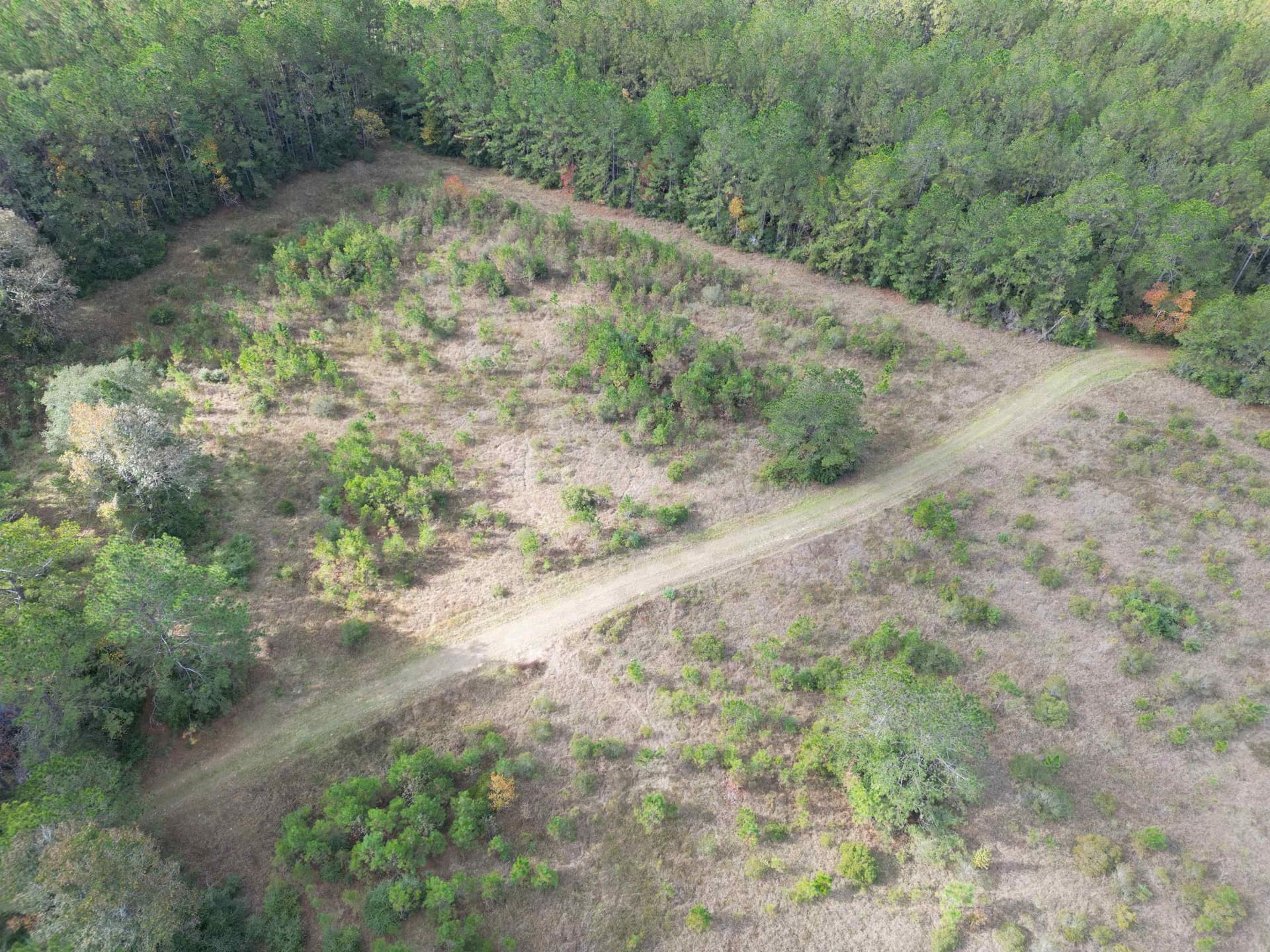 45.4 acres in Texas County featured view