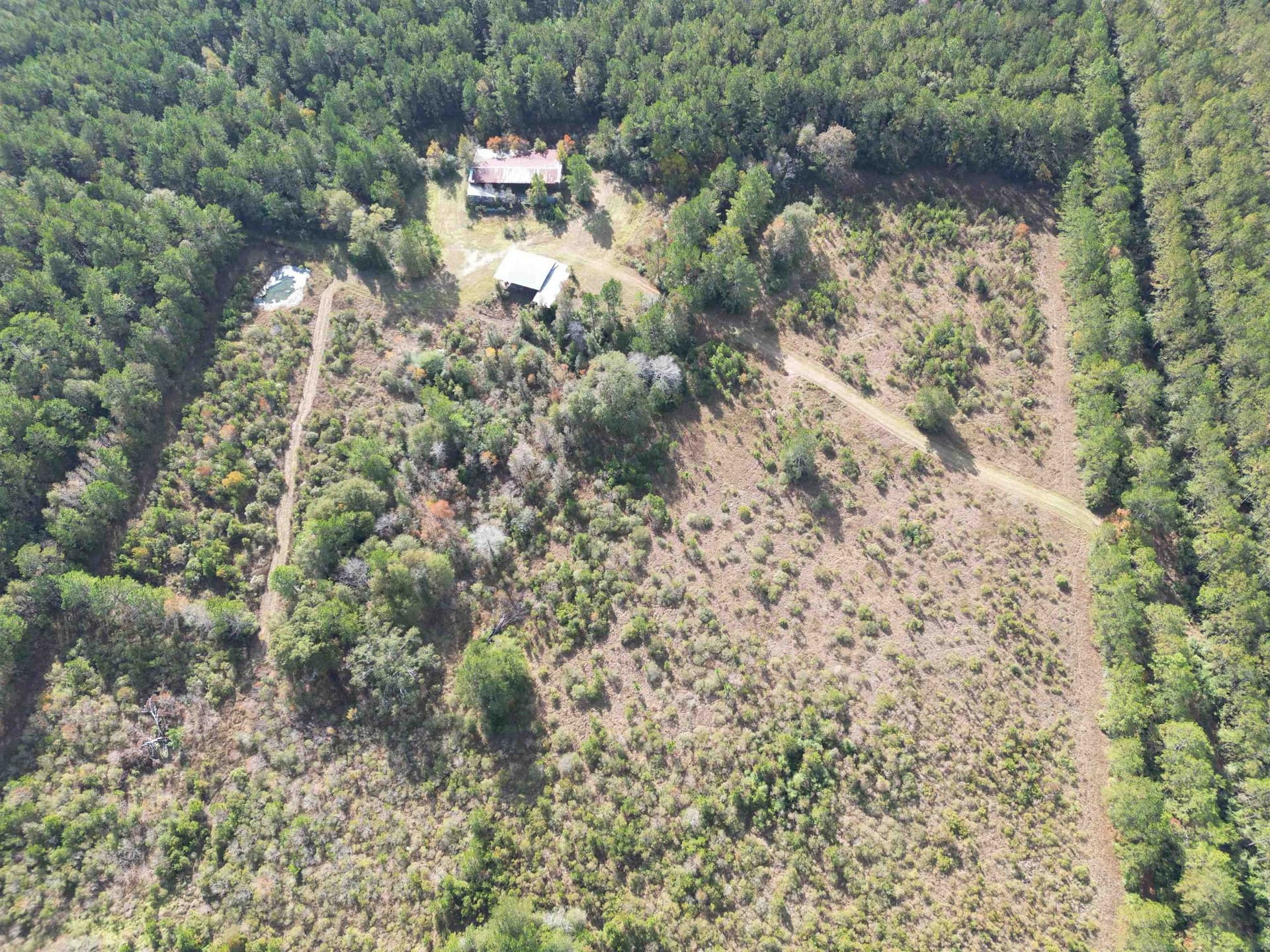 45.4 acres in Texas County gallery image 3