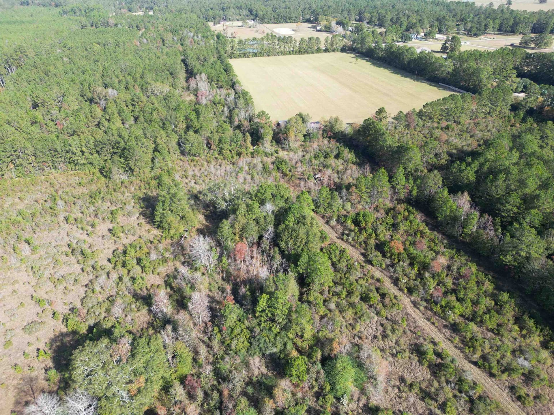 45.4 acres in Texas County gallery image 4