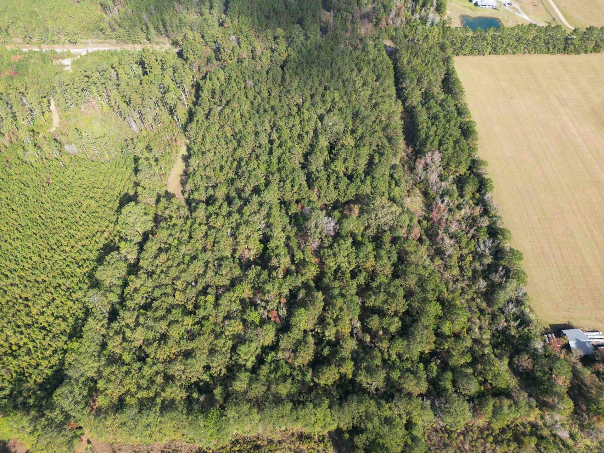 45.4 acres in Texas County gallery image 2