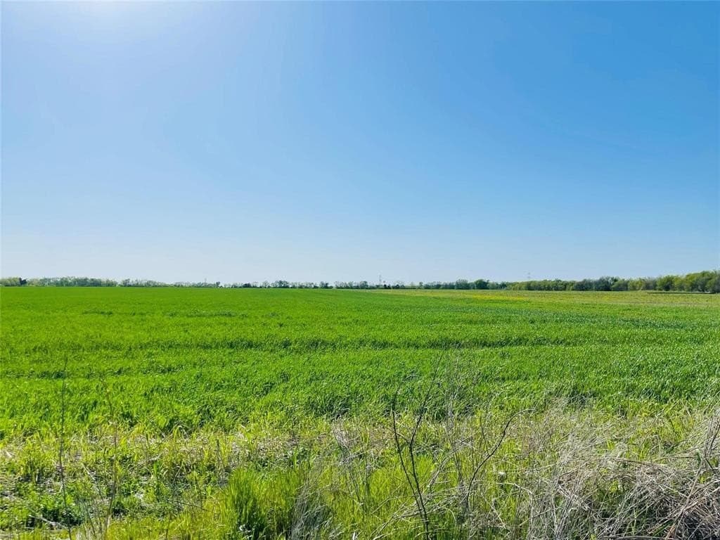 15 acres in Collin County gallery image 4