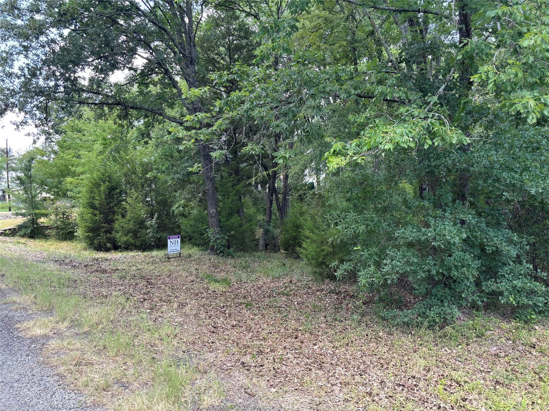 0.12 acres in Henderson County - photo 2