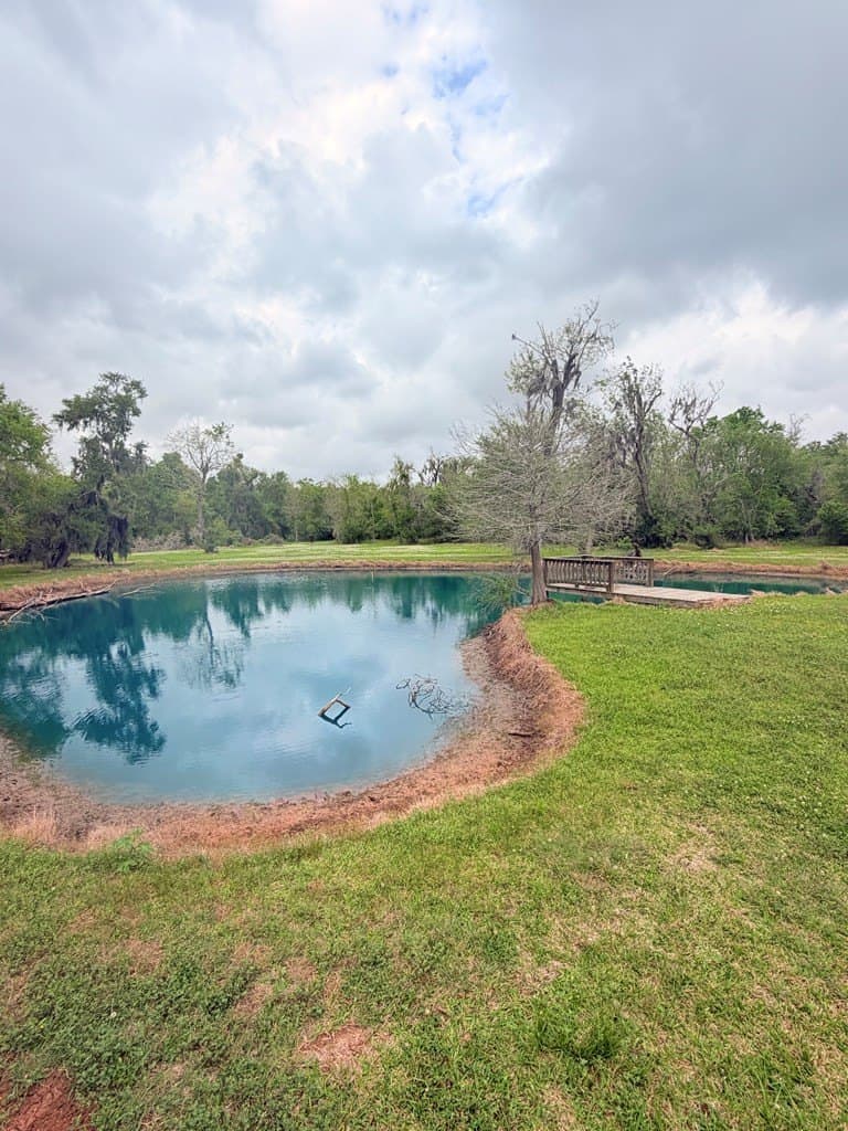 10 acres in Brazoria County gallery image 4