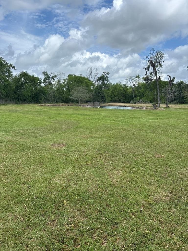 10 acres in Brazoria County - photo 19