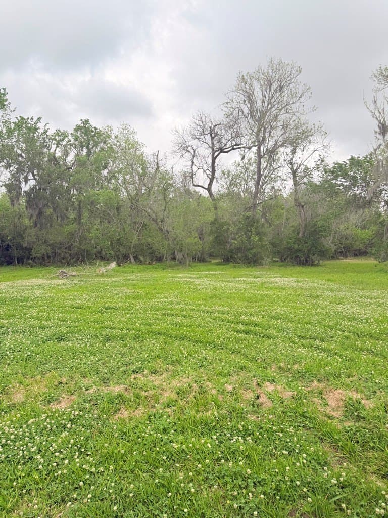 10 acres in Brazoria County - photo 9